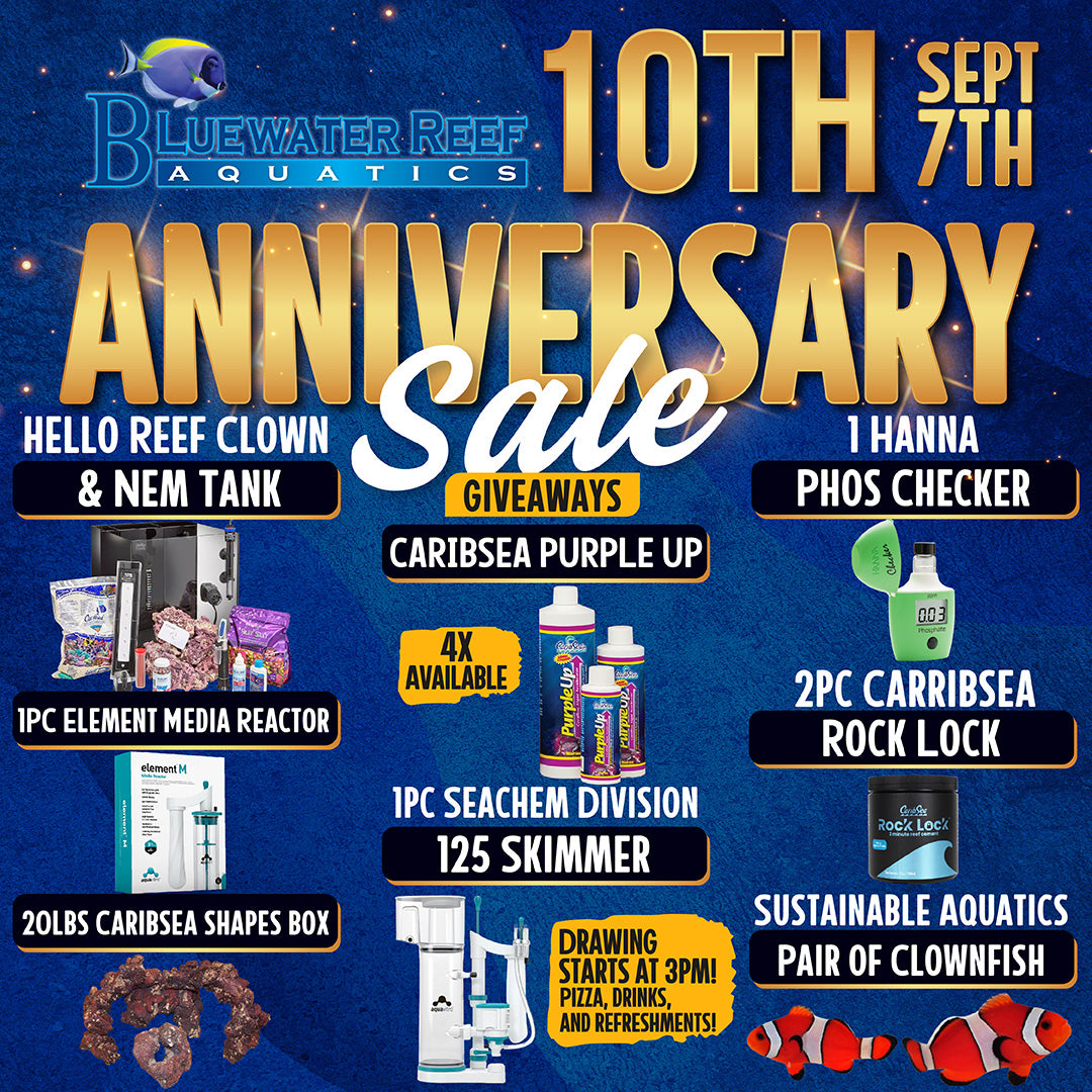 Celebrating Our 10th Anniversary at Blue Water Reef Aquatics!