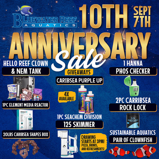 Celebrating Our 10th Anniversary at Blue Water Reef Aquatics!