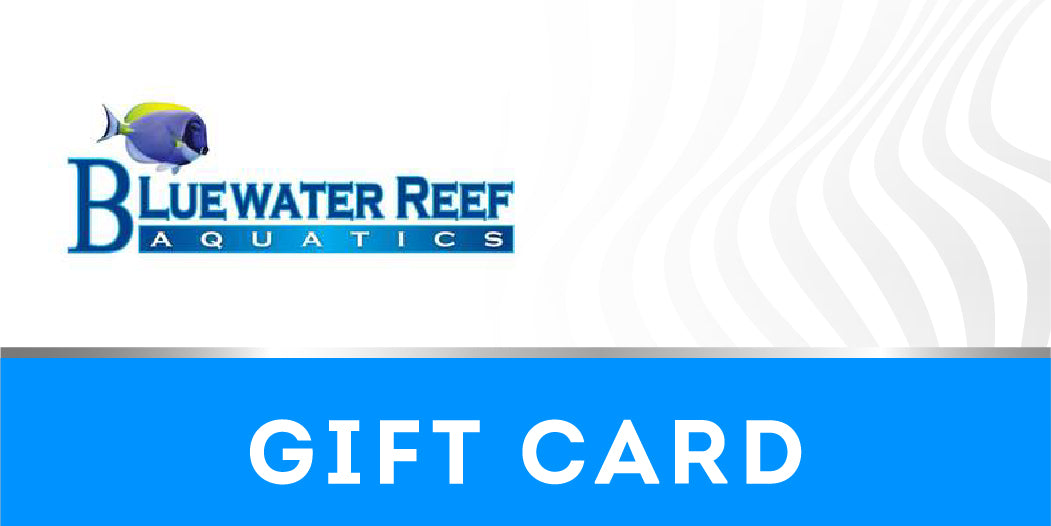 Bluewater Reef Gift Card
